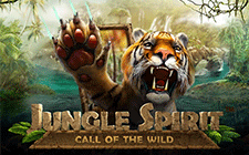 Ойын автоматы Jungle Spirit