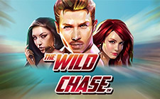 Ойын автоматы Wild Chase
